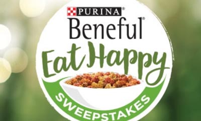 Free Beneful Branded Dog Bowl