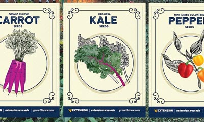 Free Carrot, Kale and Pepper Seed Packs