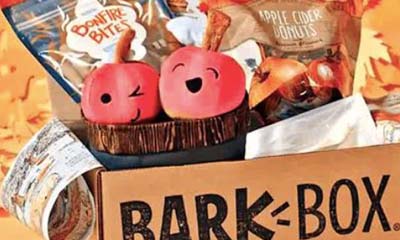 Free Dunkin'-themed Dog Toy!