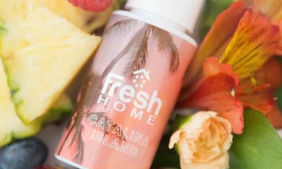 Free Fresh Home Air Freshener Samples