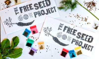 Free Seeds & Garden Growing Kit