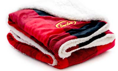 Free BedrÃ© Blanket