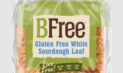 Free BFree Gluten Free White Sourdough Bread