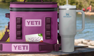 Free Cabot Cheese and Little Leaf Farms products