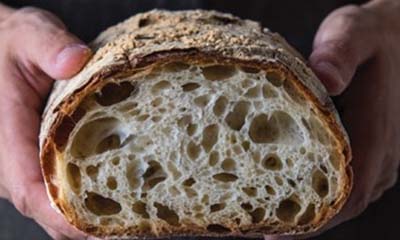 Free La Brea Bakery TryaBox Artisan Bread