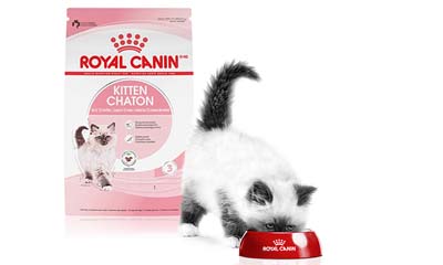 Free Royal Canin Kitten Chatterbox Kit