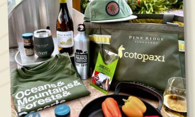 Free Le Creuset Skillet