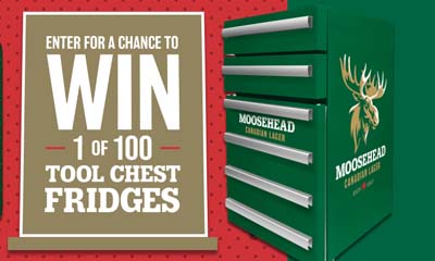 Free Moosehead Tool Chest Fridge