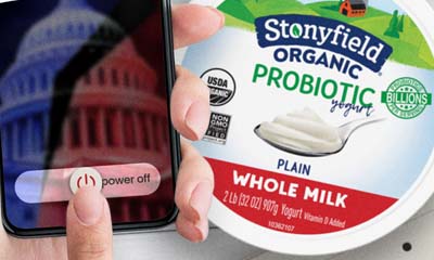 Free Stonyfield Organic Yogurt
