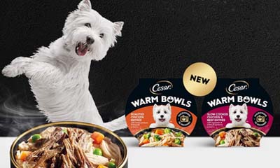 Free Cesar Mini-Pouch or Warm Bowls Dog Food