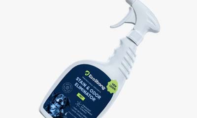 Free EcoStrong Oxy Pet Carpet Cleaner