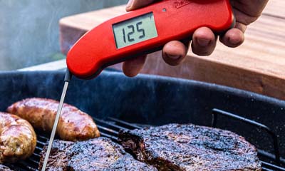 Free Thermapen Meat Thermometer