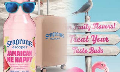 Free Seagram's Escapes Carry-on Bag